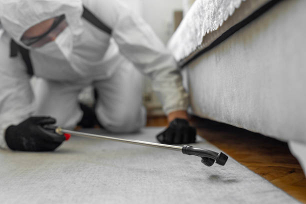 Professional Bed Bug Control technician working in Baldwyn, MS